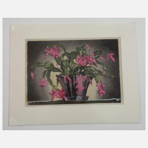 Sophie Noske, Konvolut Farbholzschnitte