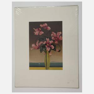 Sophie Noske, Konvolut Farbholzschnitte