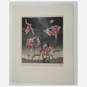 Sophie Noske, Konvolut Farbholzschnitte