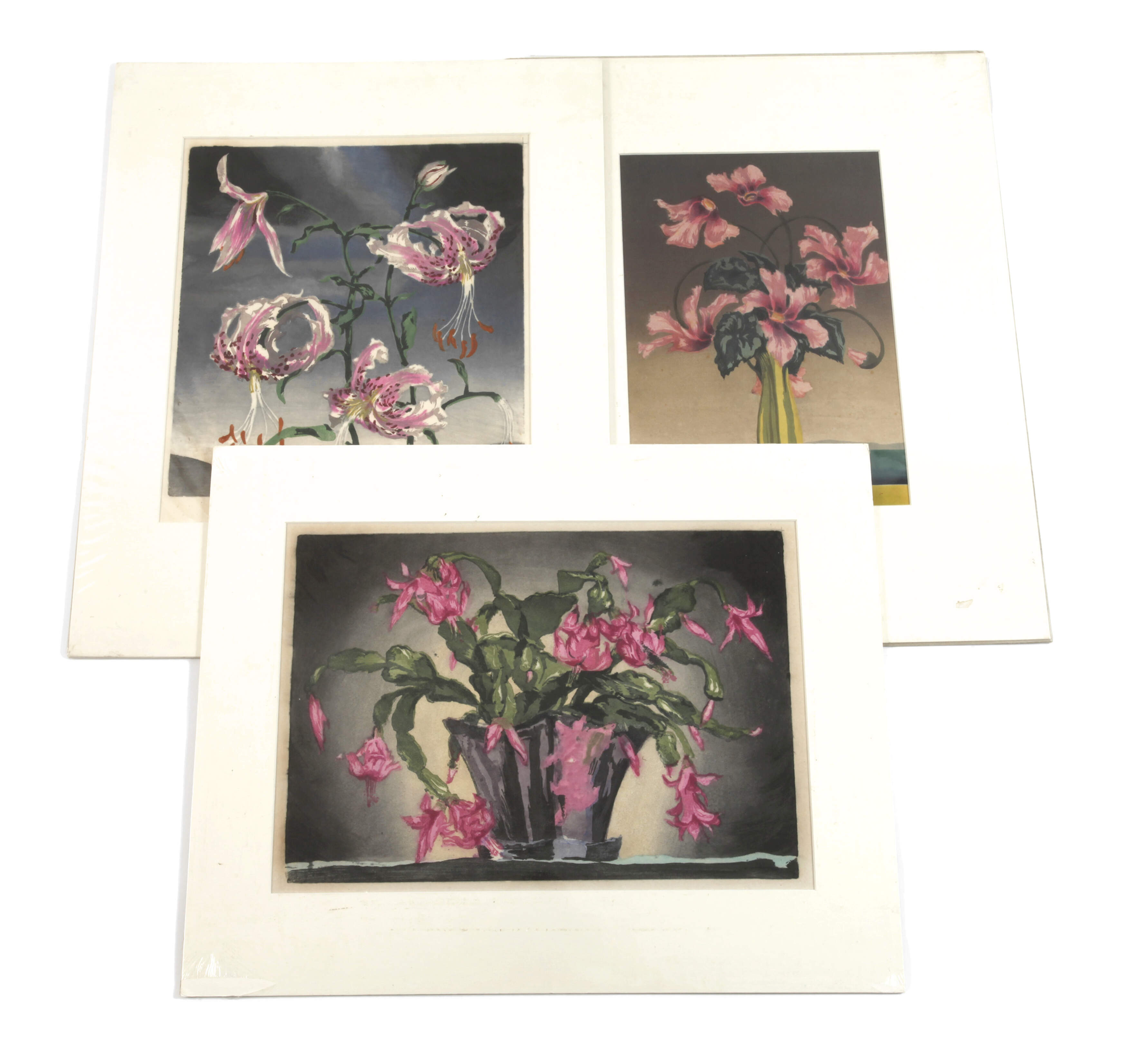 Sophie Noske, Konvolut Farbholzschnitte