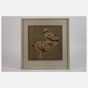 Engelbert Schoner, "Junge Bussarde"