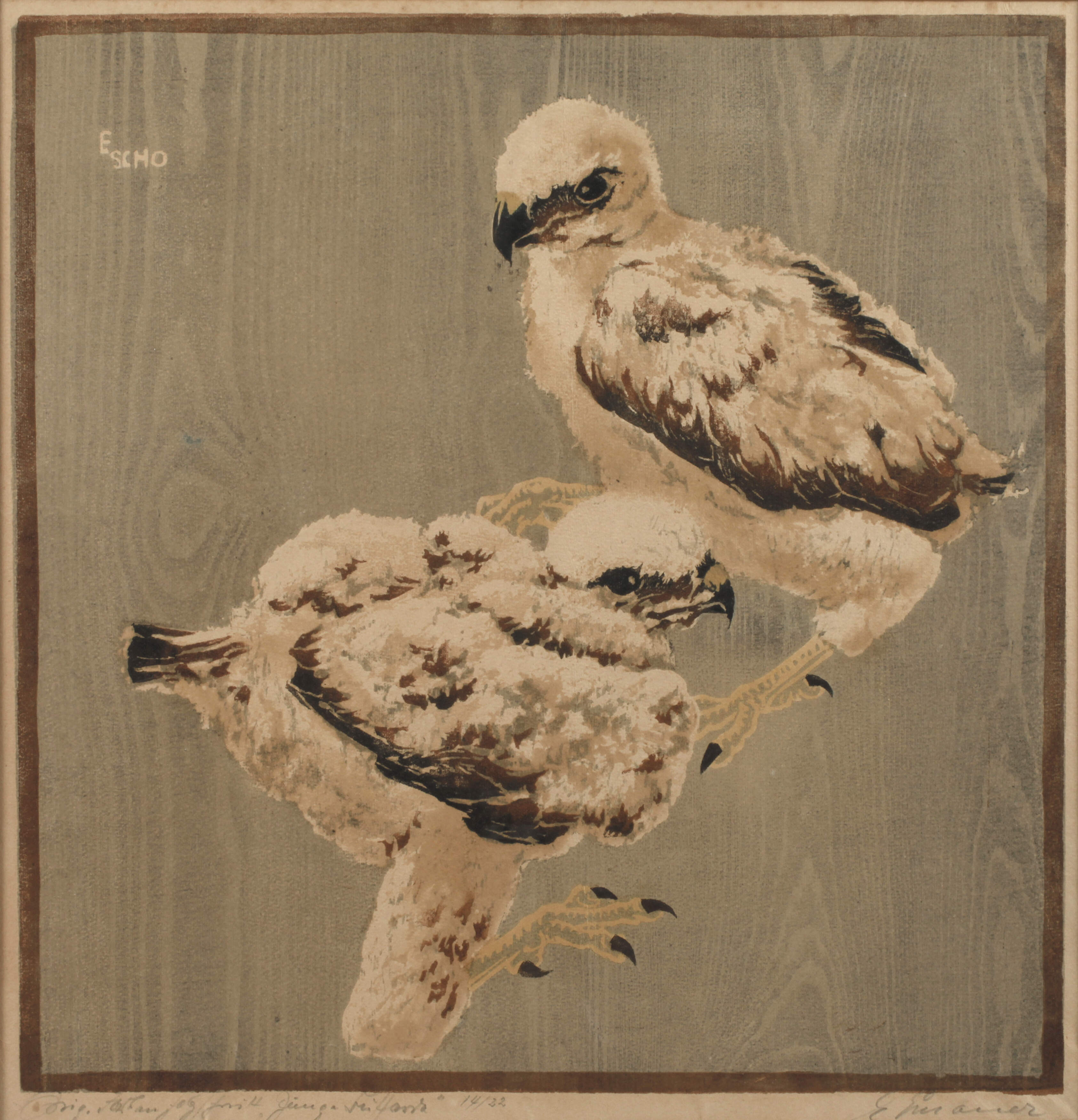 Engelbert Schoner, "Junge Bussarde"