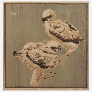 Engelbert Schoner, "Junge Bussarde"