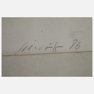 Klaus Schröter, Der Kunstsammler