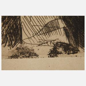 Anders Zorn, Paar Graphiken