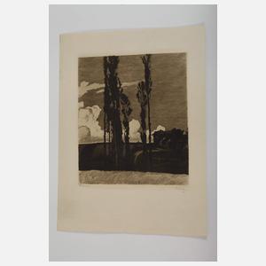 Konvolut Radierungen Anfang 20. Jh.