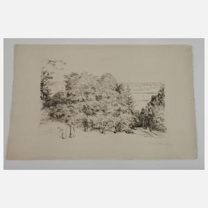 Konvolut Radierungen Anfang 20. Jh.