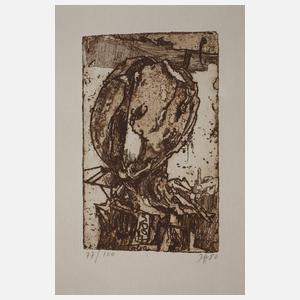 Horst Janssen, Graphikkonvolut