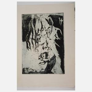 Horst Janssen, Graphikkonvolut