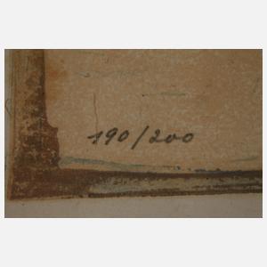 Emil Pottner, Henne mit ihren Küken