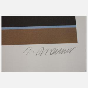 Josef Bramer, "Kopfbaum-Baumkopf"