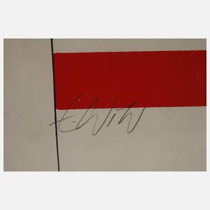 Ernst Wild, Graphikkonvolut