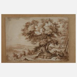 Blick in die Landschaft mit großem Baum