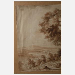 Blick in die Landschaft mit großem Baum