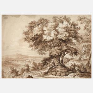 Blick in die Landschaft mit großem Baum