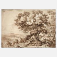 Blick in die Landschaft mit großem Baum111