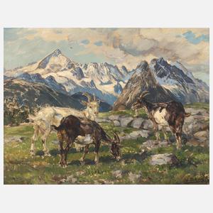 Willy Tiedjen, »Ziegen auf Hochalm«