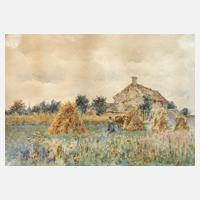 Impressionistische Erntelandschaft111