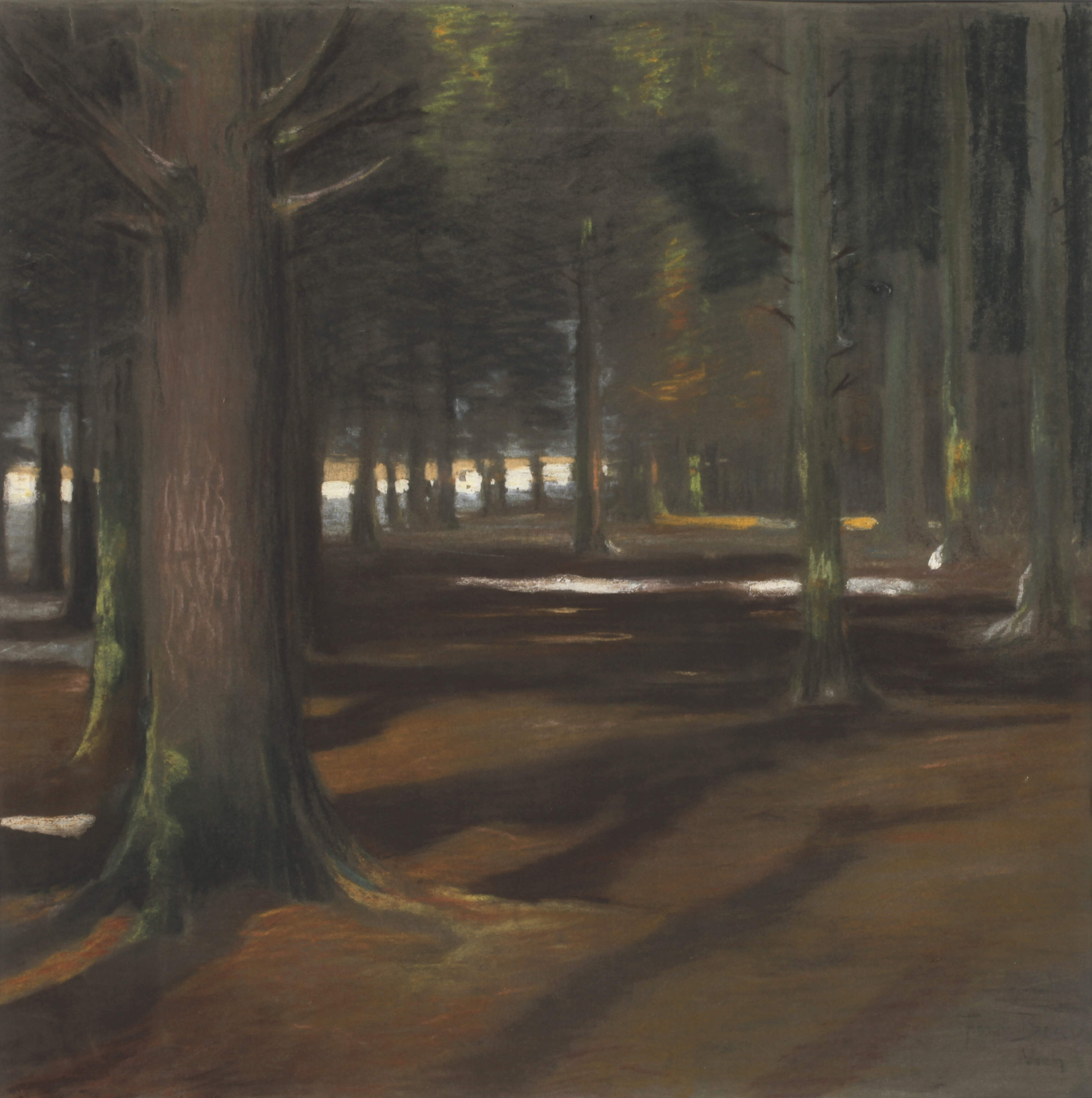 Ferdinand Brauer, Waldinneres