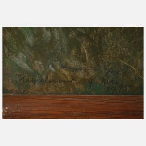 Carl Theodor Meyer-Basel, "Haspelmoor"