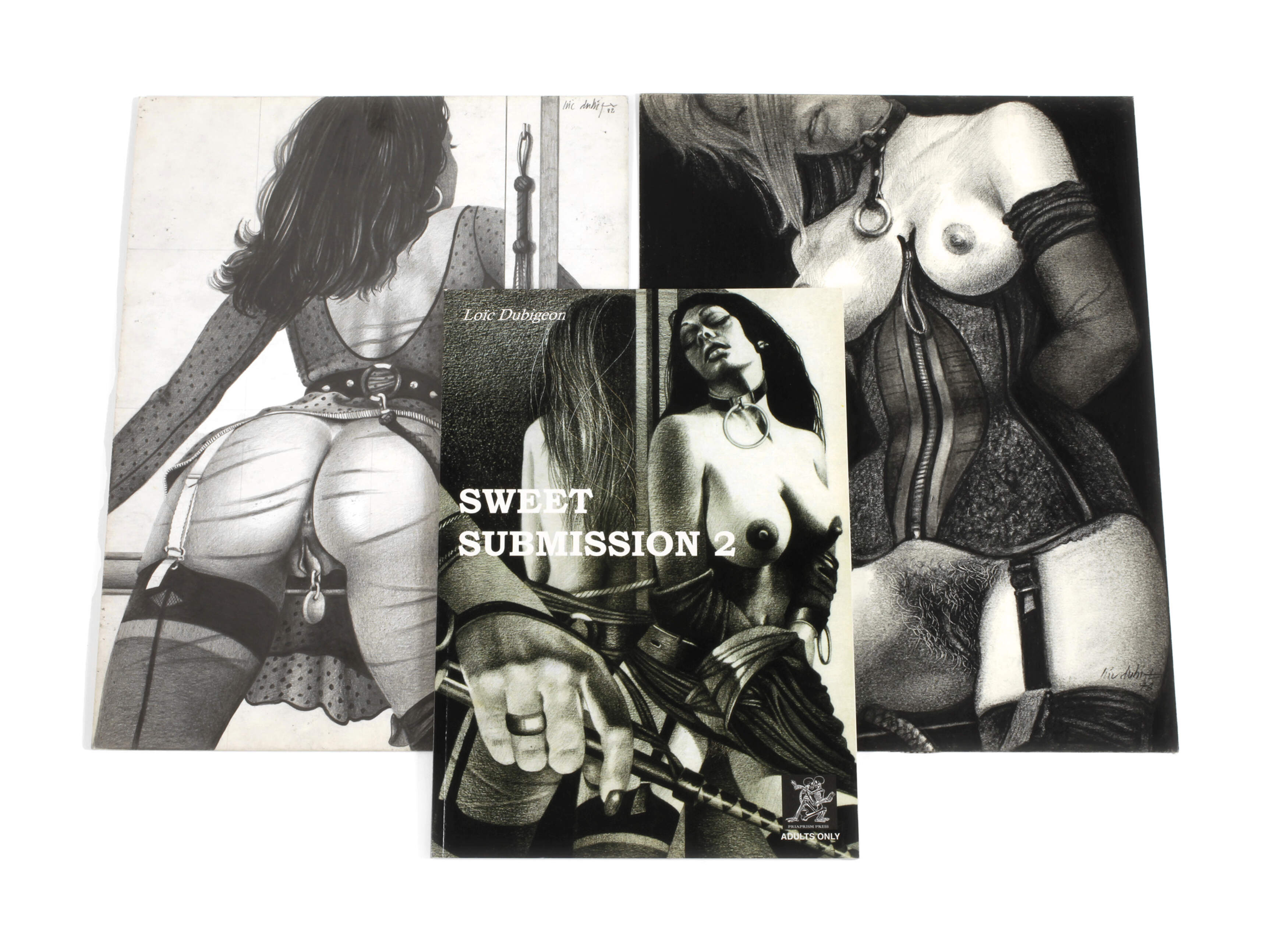 Loïc Dubigeon, Paar BDSM-Zeichnungen