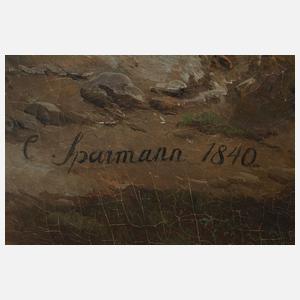 Karl Christian Sparmannn, Das Reichenbachtal mit Rosenlaui