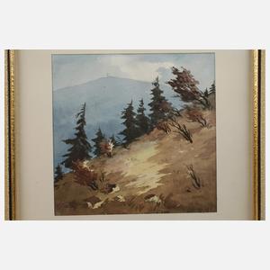 Willy Becker, Paar Erzgebirgsansichten