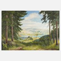 Manfred Feiler, Talsperre Pirk111