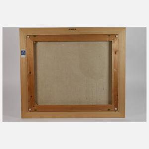 Manfred Feiler, Santa Maria della Salute