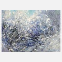 Manfred Feiler, Schneebruch111