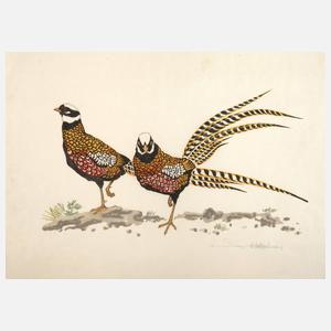 Walter Helfenbein, Fasanenpaar