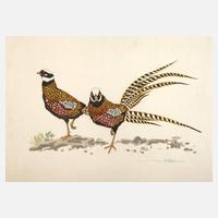 Walter Helfenbein, Fasanenpaar111