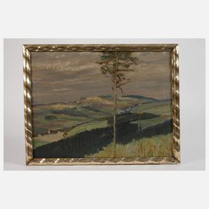 Alfred Kunze, Sächsische Landschaft