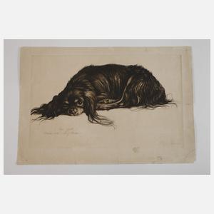 Richard Müller, "Mein Quick"