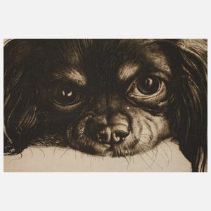 Richard Müller, "Mein Quick"