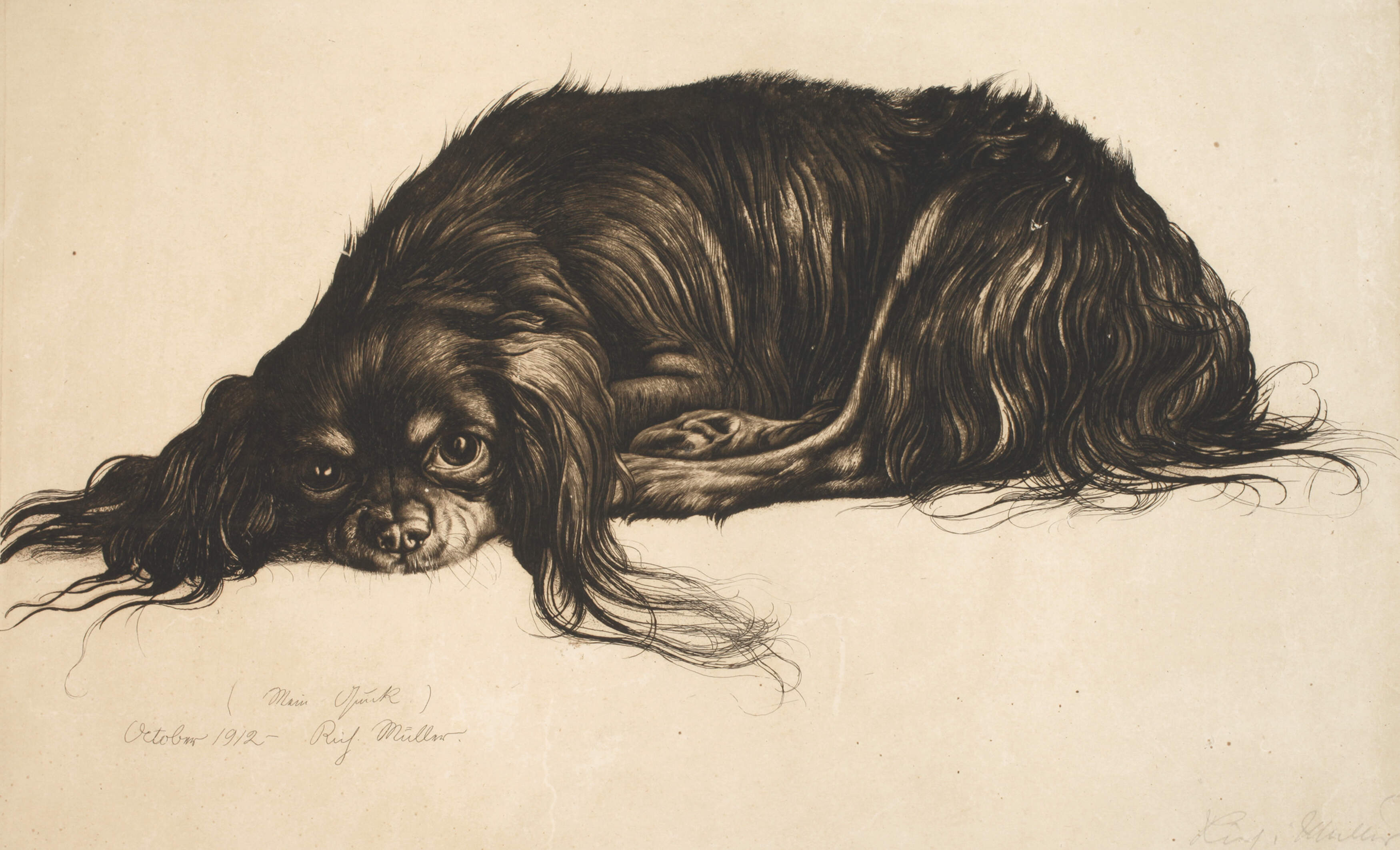 Richard Müller, "Mein Quick"