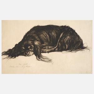 Richard Müller, "Mein Quick"