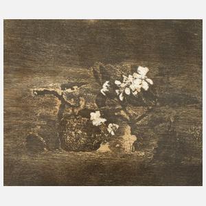 Werner Wittig, "Stillleben mit Apfelzweig"