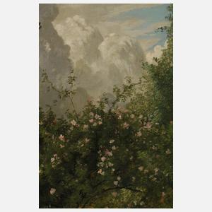 Friedrich Rudolf Zenker, Heckenrosen