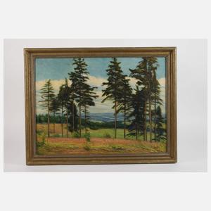 Albin Schlehahn, Spätsommer im Vogtland