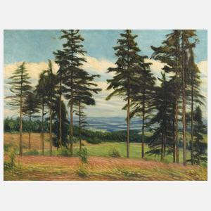 Albin Schlehahn, Spätsommer im Vogtland