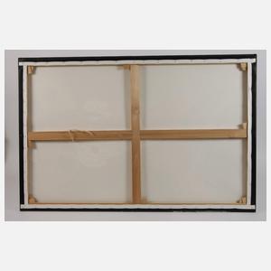 Thomas Meitsch, Krankenschwester