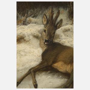 Georg Höhn, Liegender Rehbock im Schnee