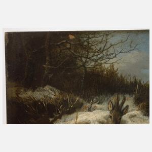 Georg Höhn, Liegender Rehbock im Schnee