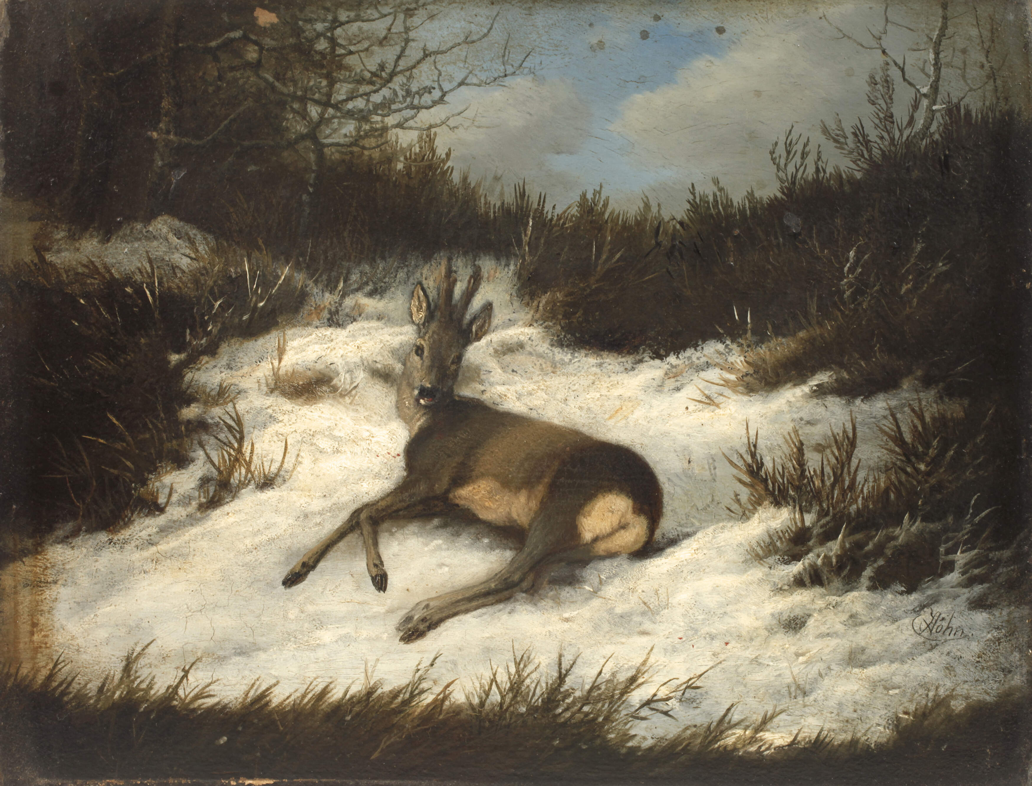 Georg Höhn, Liegender Rehbock im Schnee