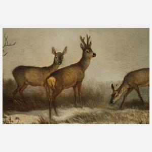 Georg Höhn, Rehwild in Winterlandschaft