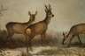 Georg Höhn, Rehwild in Winterlandschaft