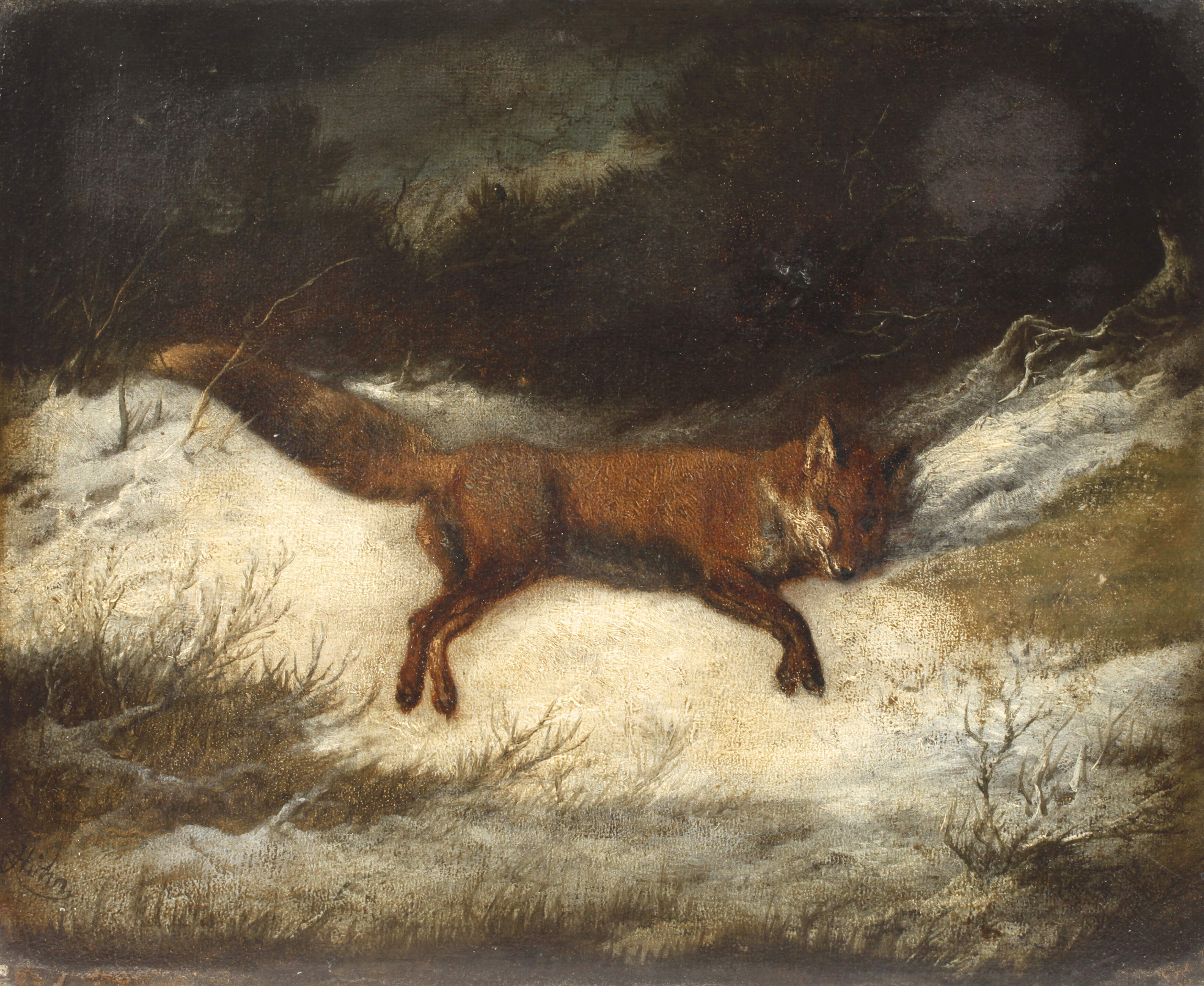 Georg Höhn, Fuchs im Schnee