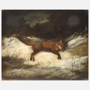Georg Höhn, Fuchs im Schnee