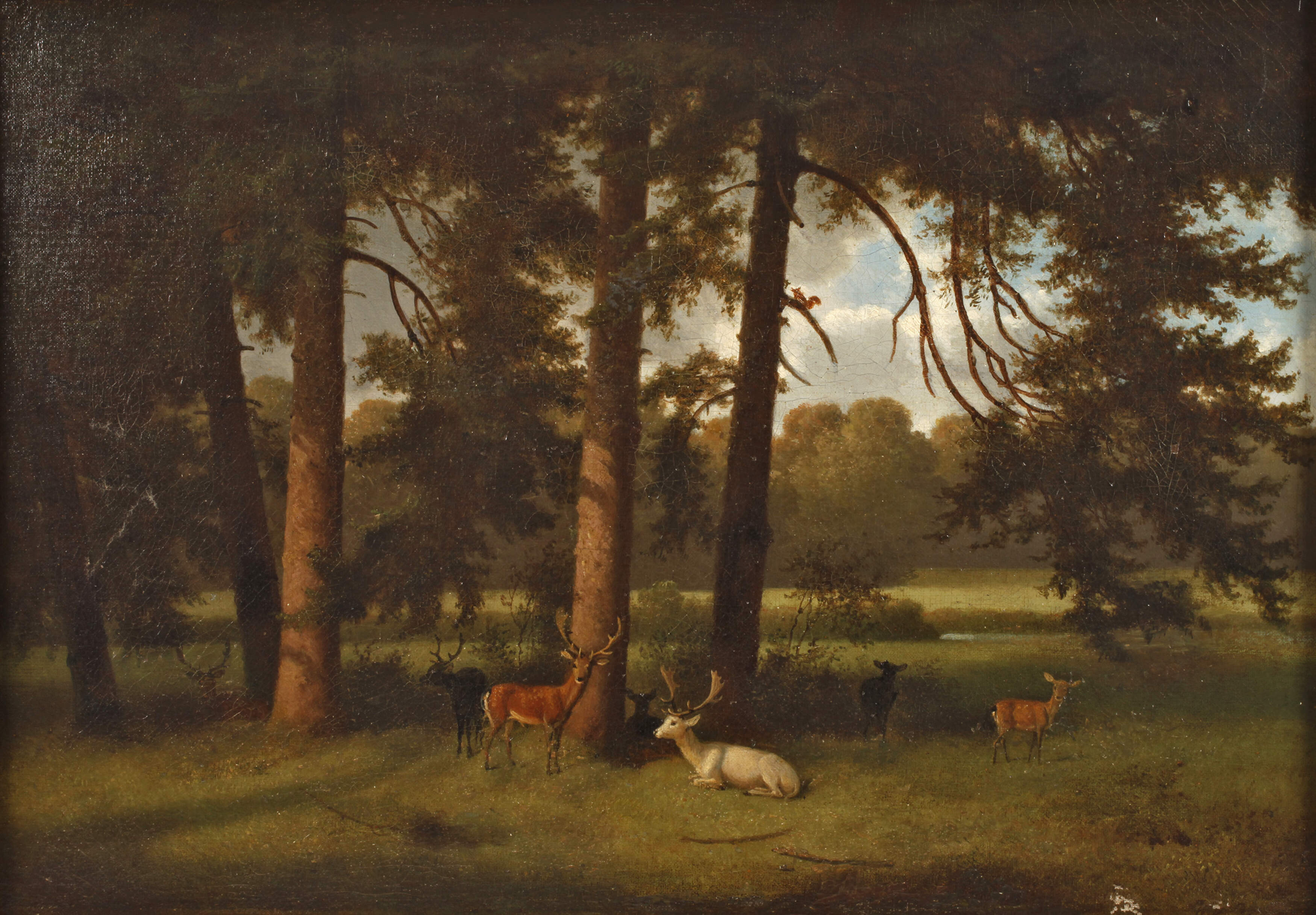 Phillips, "Ruhendes Rotwild"